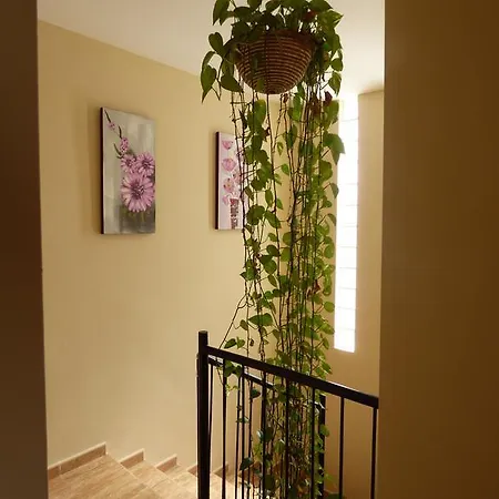 Vila The Corner House *